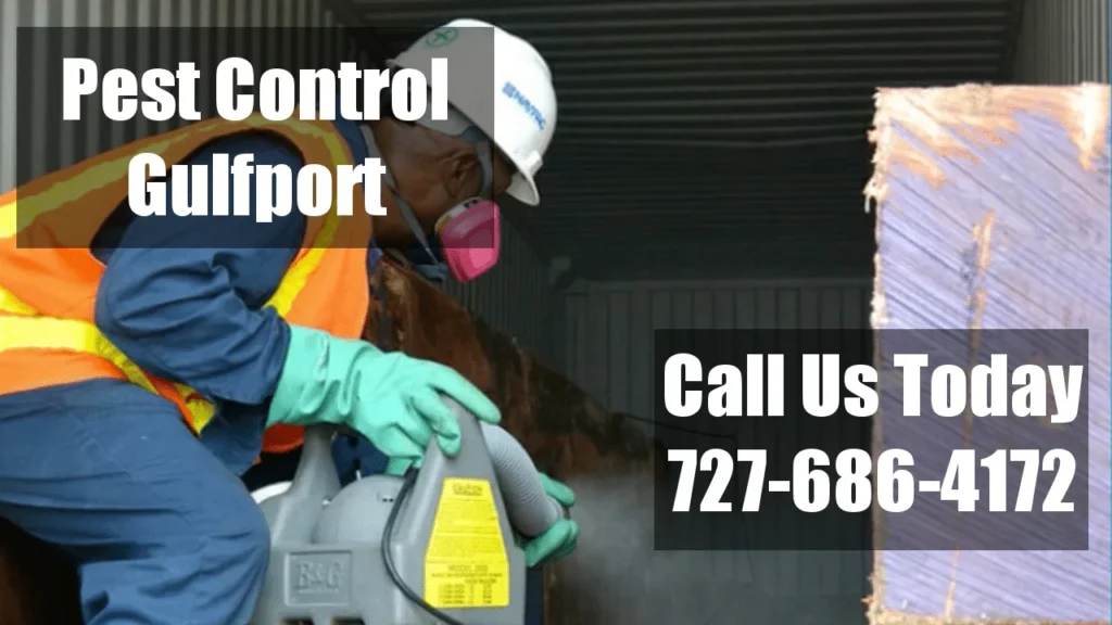 Why Pest Control Gulfport Is Essential for Coastal Homes