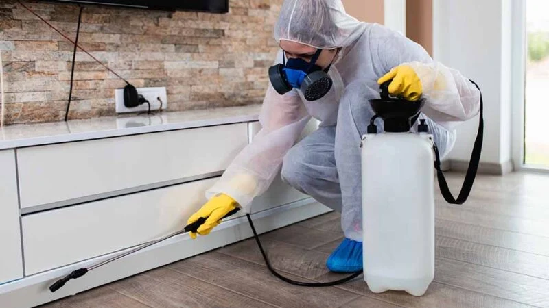 Why pest control gwinnett is essential for homeowners