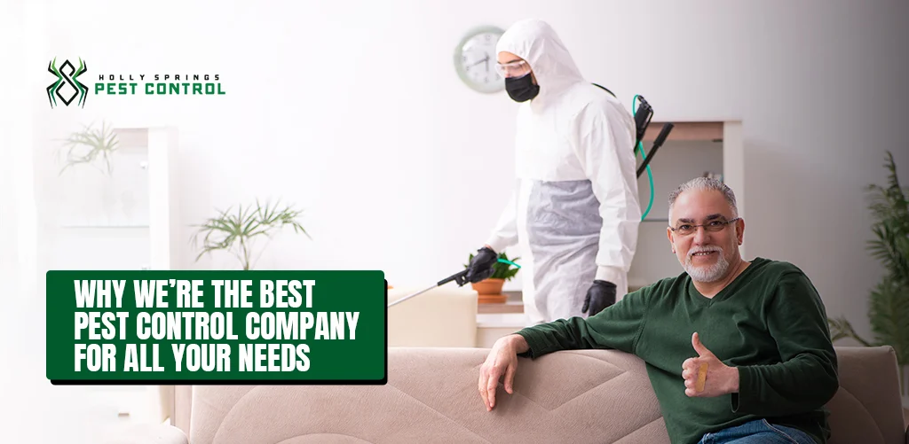 Why pest control Holly Springs is essential