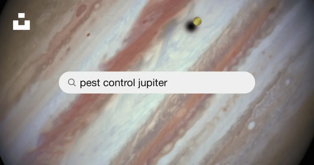 Why pest control jupiter is essential in this region