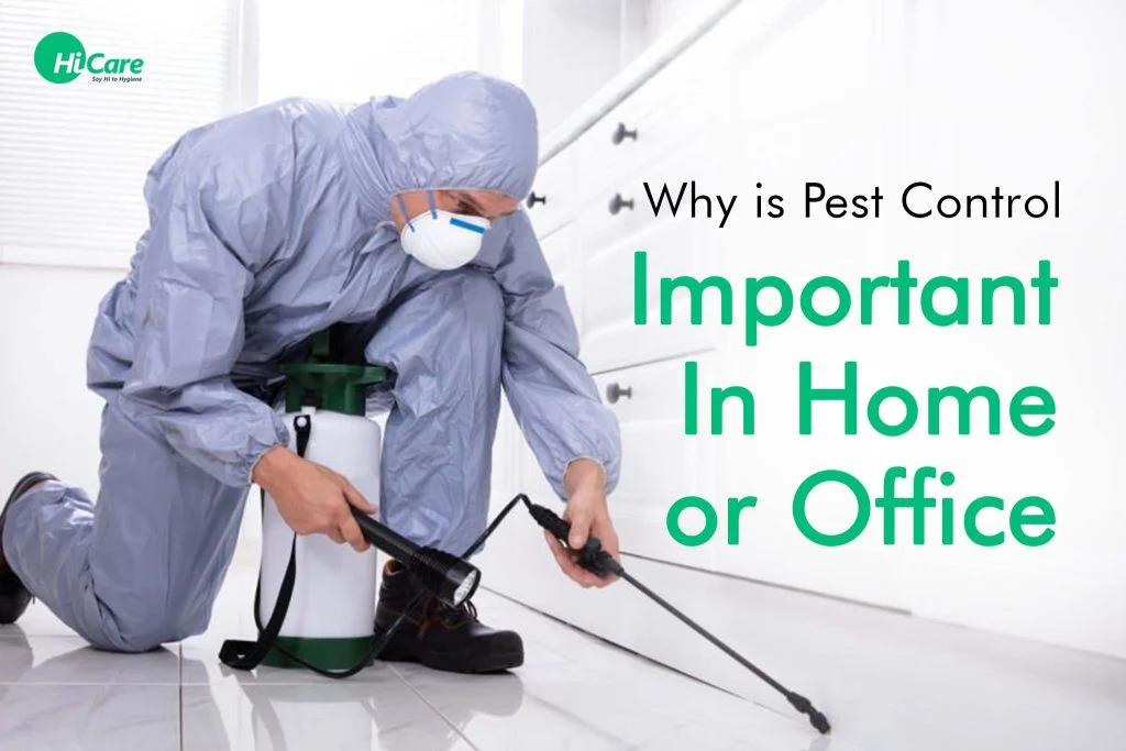 Why pest control New Port Richey East is essential for every homeowner