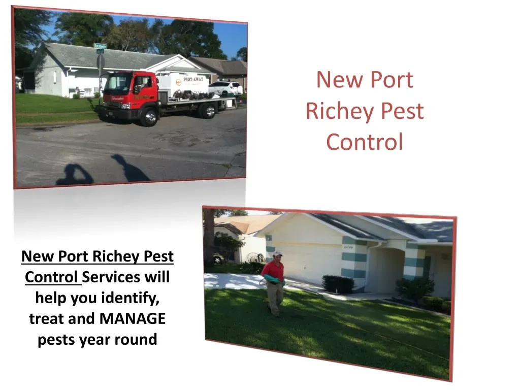 Why pest control New Port Richey east is essential for homeowners