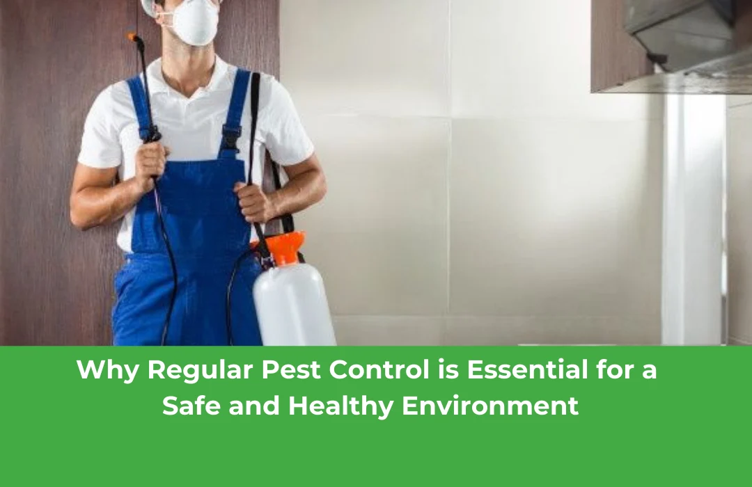 Why Pest Control North Decatur Is Essential: Common Triggers in Local Homes