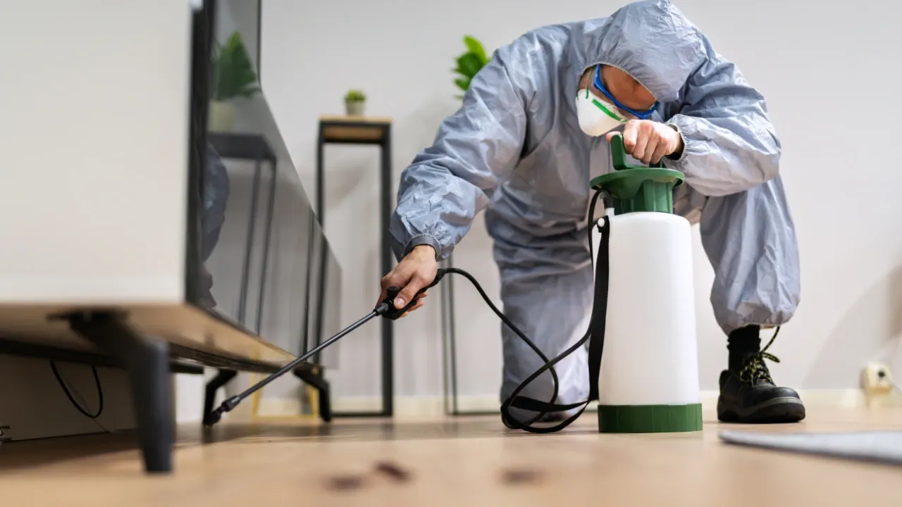 Why pest control north decatur is essential for your home