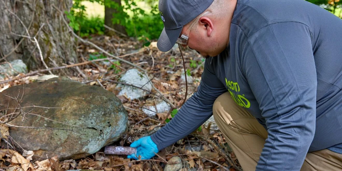 Why Pest Control Riviera Beach Is Essential Year‑Round