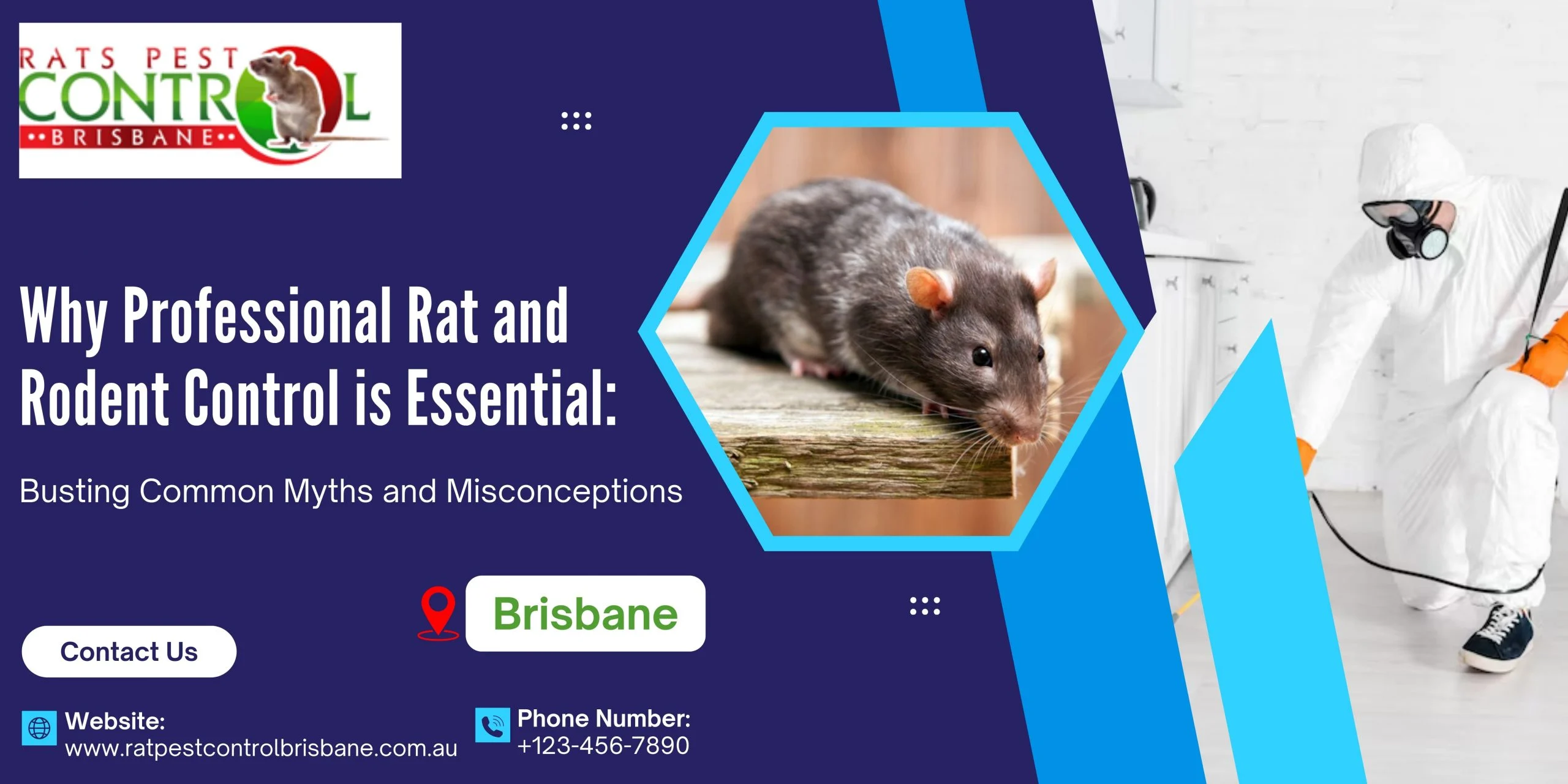 Why Rat Control is Essential