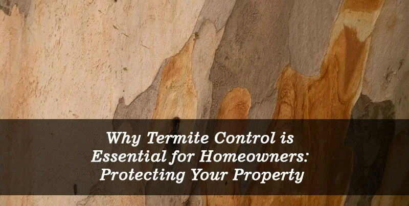 Why Termite Control Acworth Is Essential in This Area