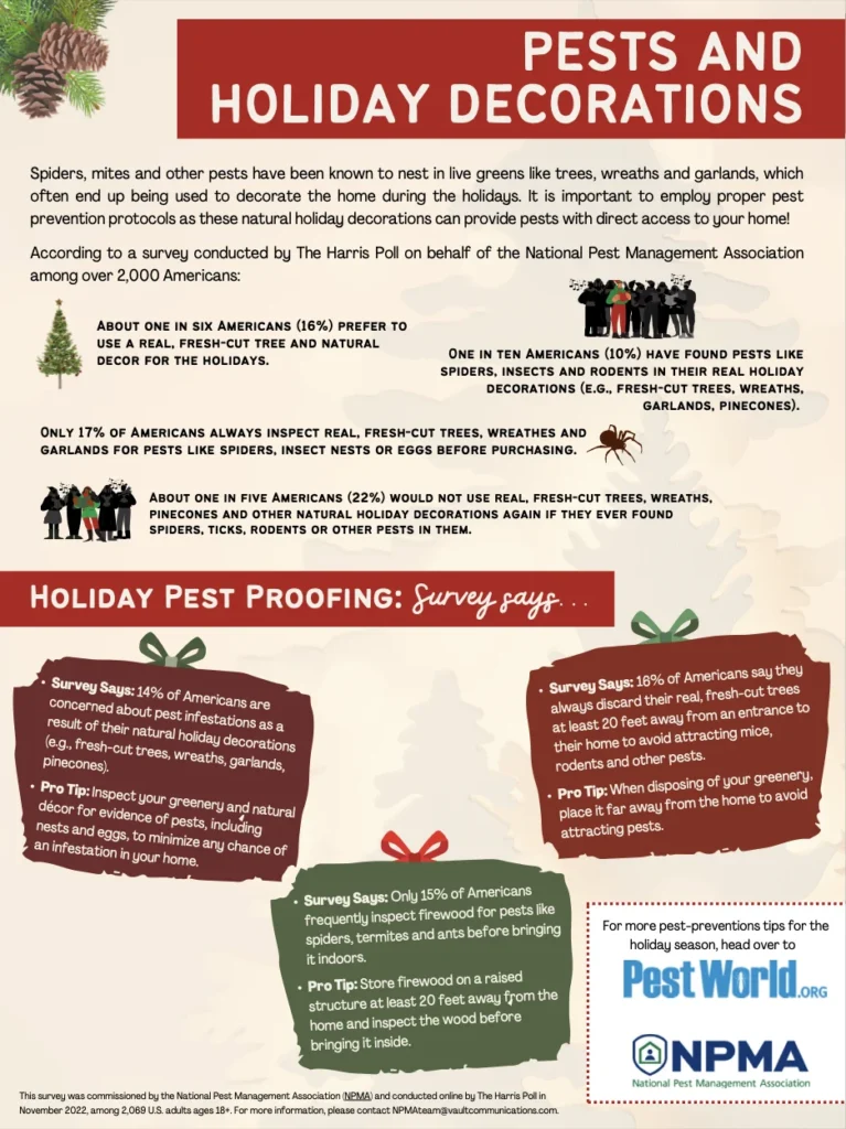 Why These Pests Appear in Homes During the Holiday Season