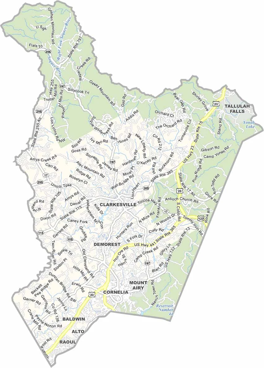 Why This Pest Appears in Homes in Habersham County