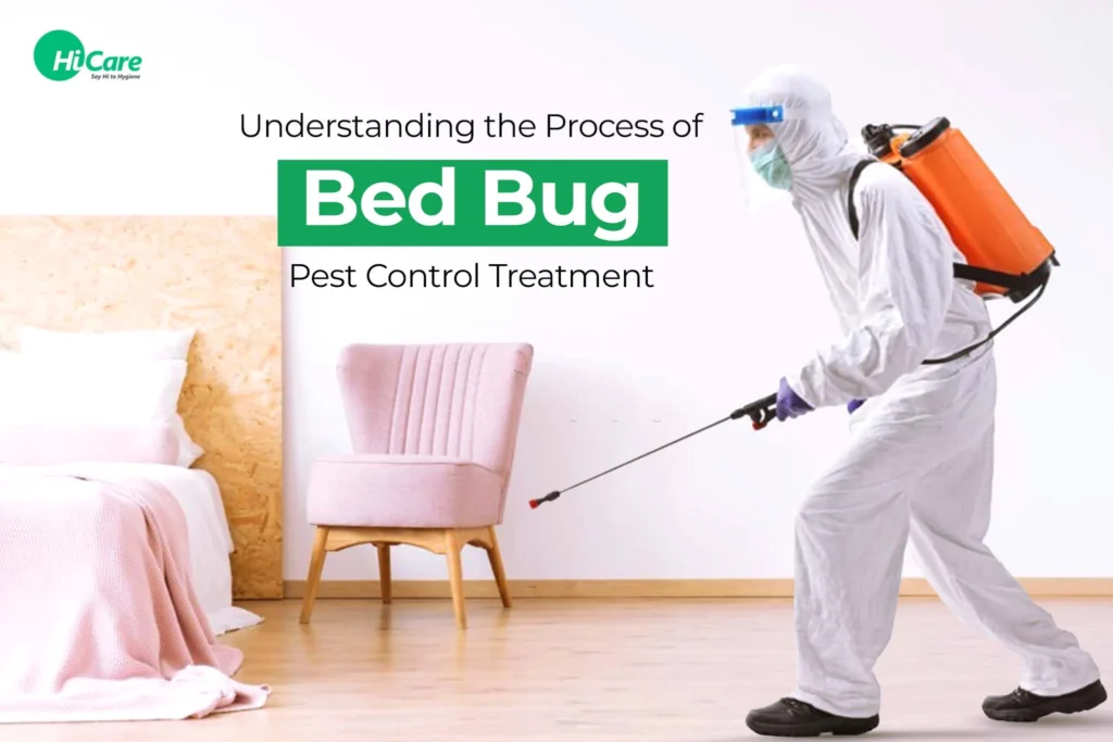 Why This Pest Appears in Homes – Understanding Bed Bug Treatment Norcross