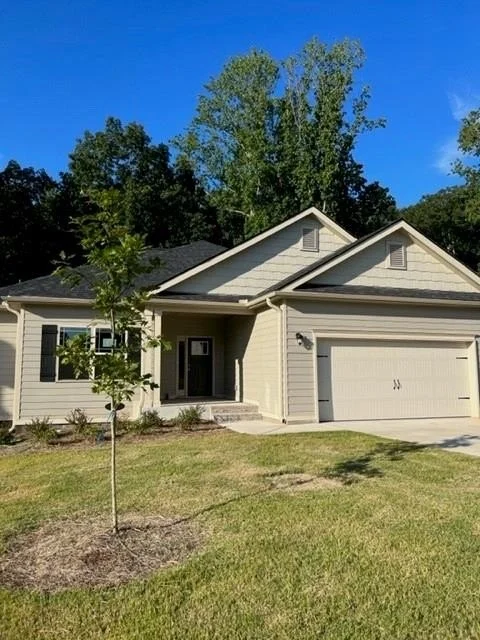 Why This Wildlife Appears in Dawsonville Homes