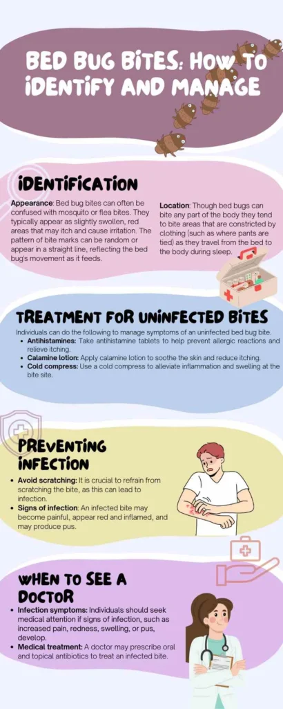 Why When Bed Bugs Bite Does It Hurt? Understanding Their Feeding Behavior