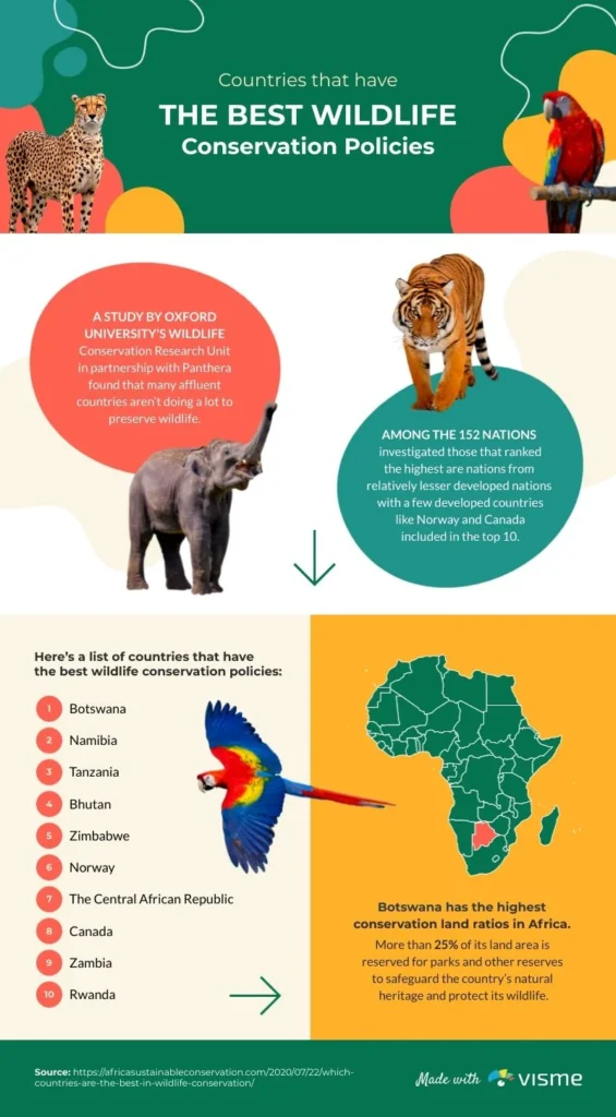 Why Wildlife Appears in Homes