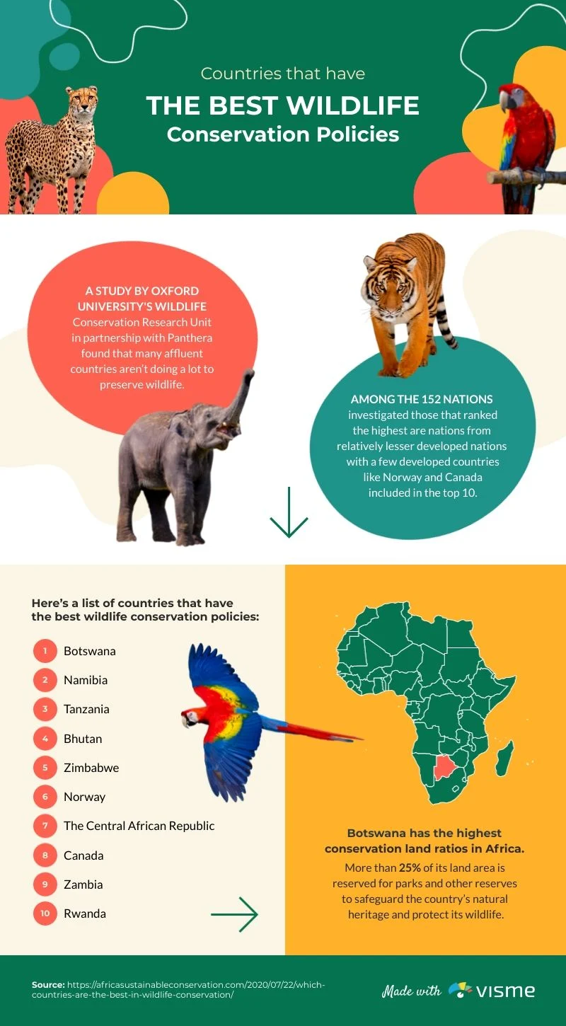 Why Wildlife Appears in Homes