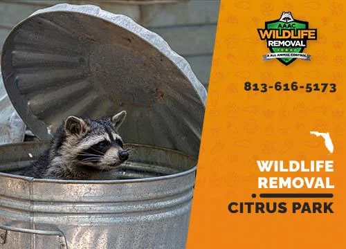 Why wildlife removal Citrus Park is essential