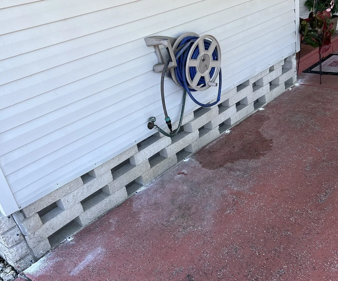 Why Wildlife Removal New Port Richey East Issues Are Common