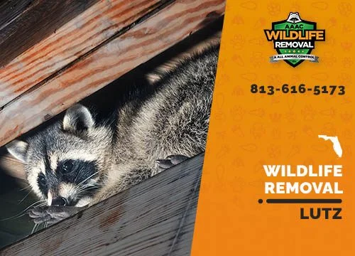 wildlife removal lutz: Understanding the Problem