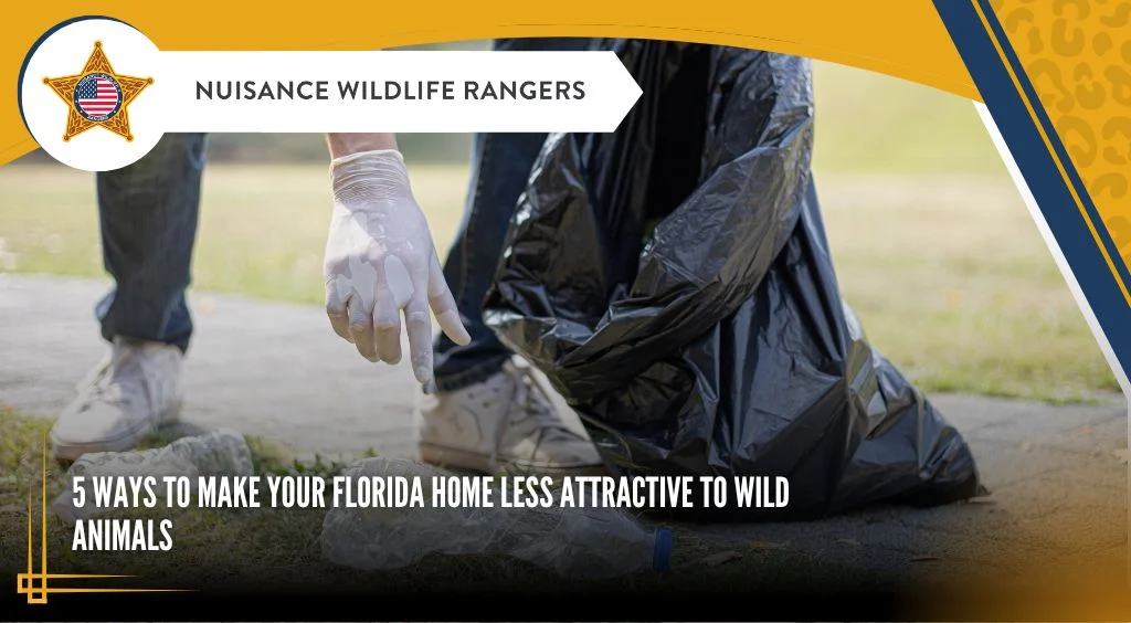 wildlife removal westchase: Why These Animals Enter Your Home