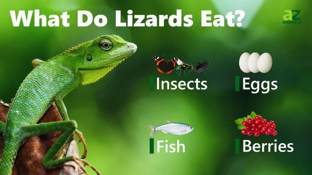 Will Lizards Eat Bed Bugs? Understanding the Possibility