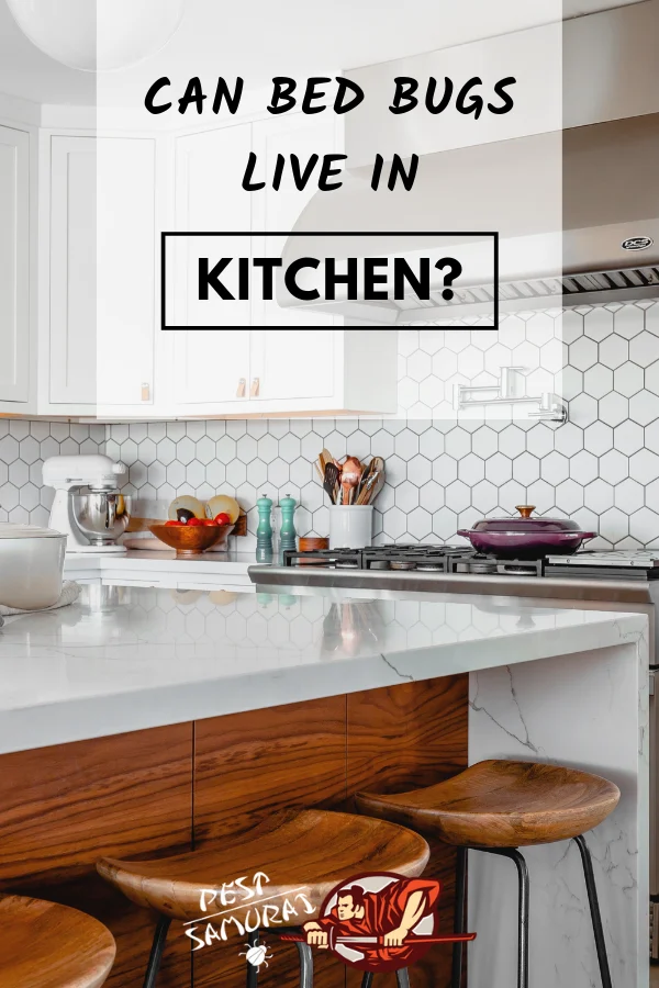 Would Bed Bugs Be in the Kitchen? Understanding the Risks