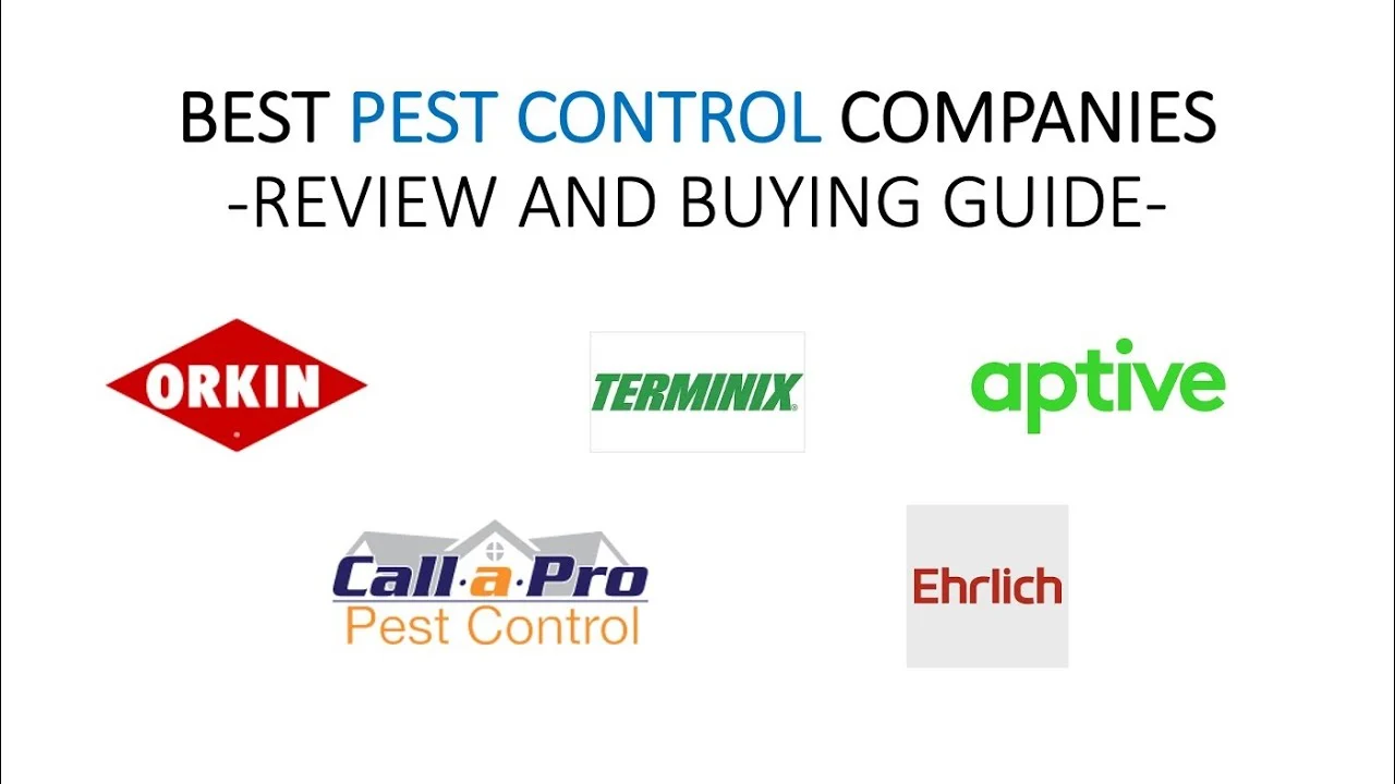 Comprehensive Reviews of Common Pest Control Products