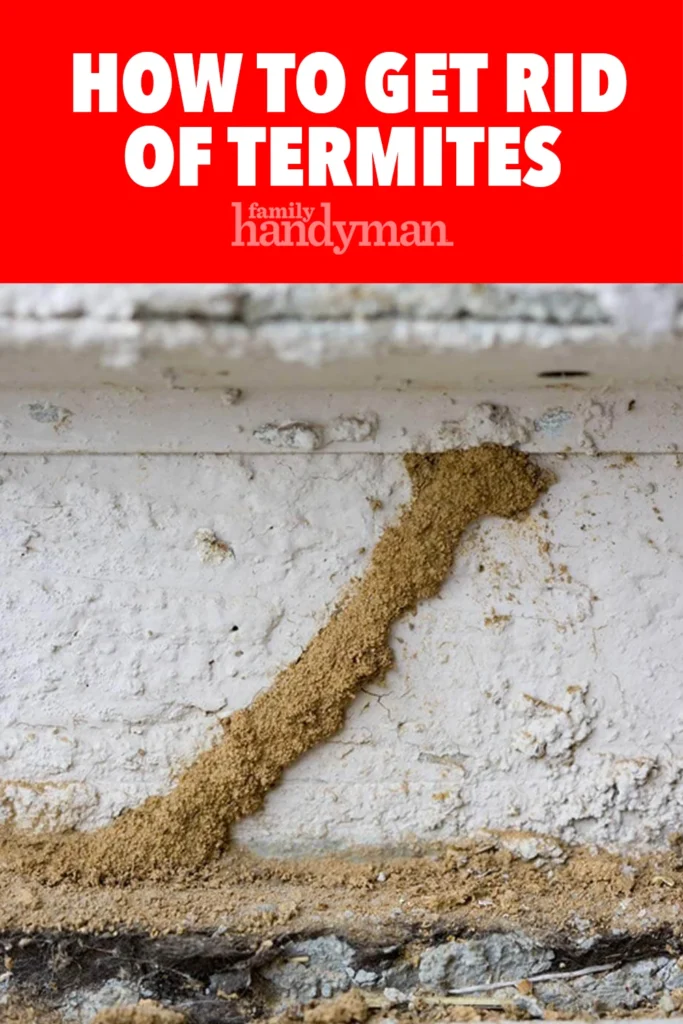 DIY Termite Control Gibsonton Tips