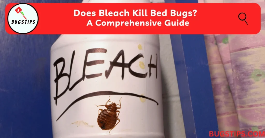 Does Bleach Kill Bed Bugs? Understanding the Science