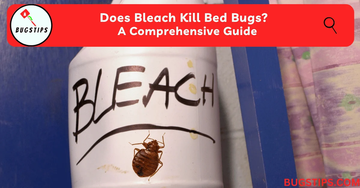 Does Bleach Kill Bed Bugs? Understanding the Science