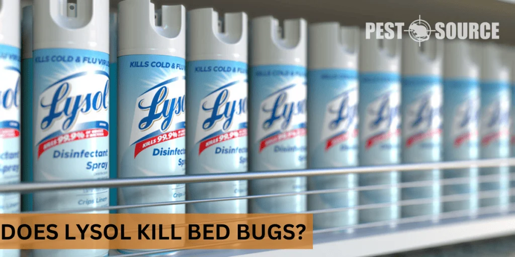 Does Lysol Kill Bed Bugs? The Science Behind the Claim