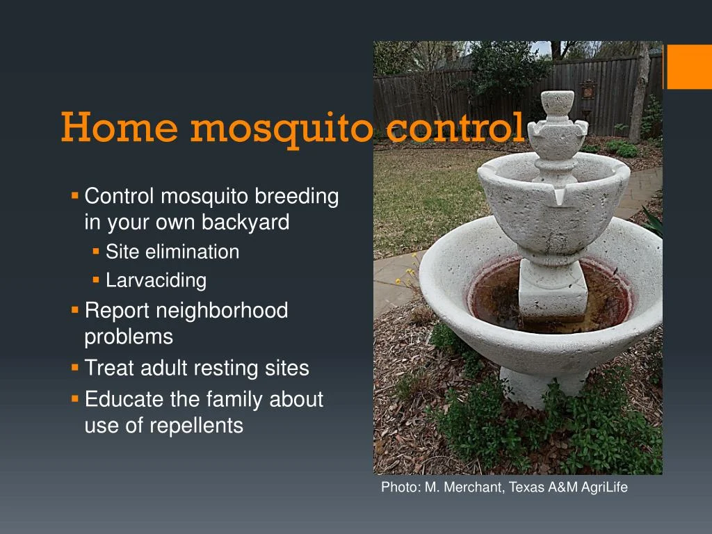 Effective Mosquito Control Lake Worth Strategies