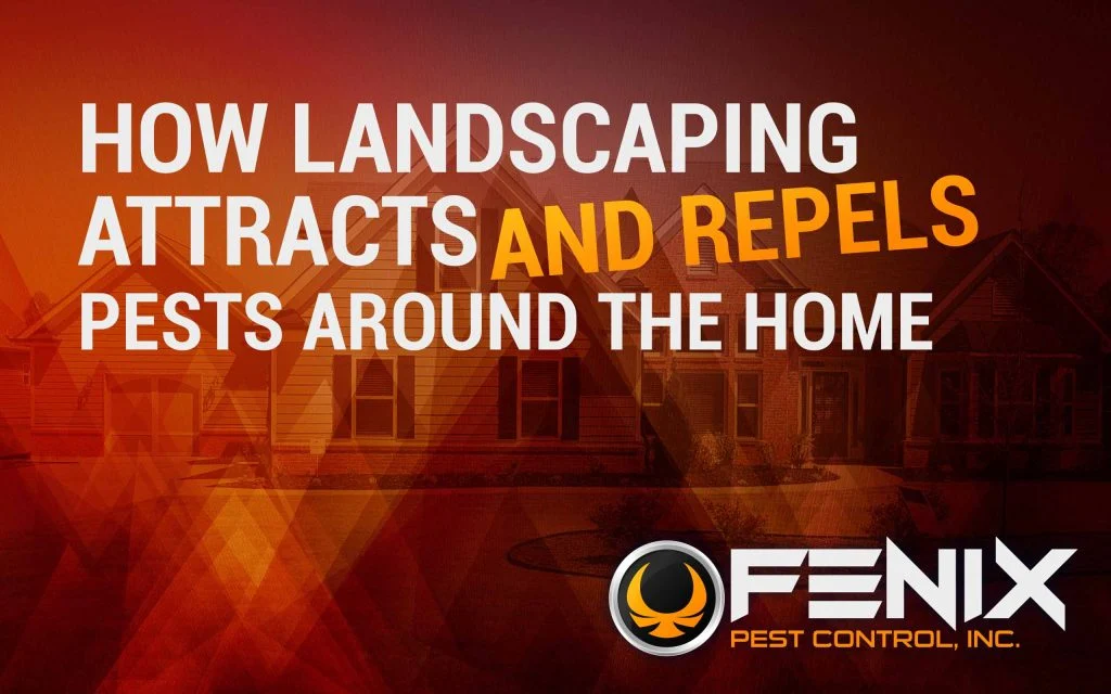 locations fl clearwater – Understanding the Local Pest Landscape