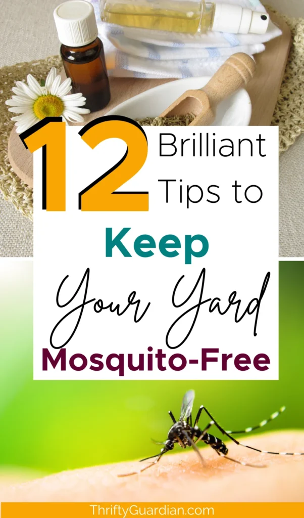 Mosquito Control Bloomingdale: Natural Removal Methods