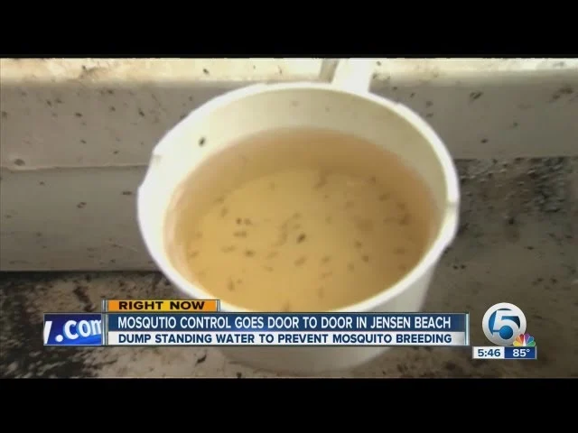 mosquito control juno beach: Why Mosquitoes Thrive in This Area