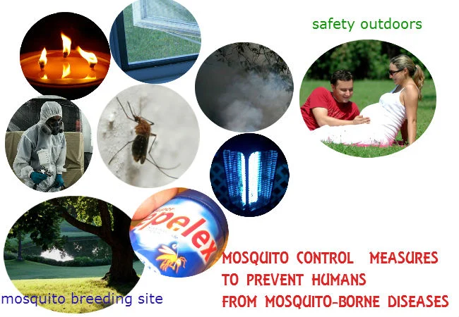 Mosquito Control Safety Harbor: Recognizing the Signs of an Infestation