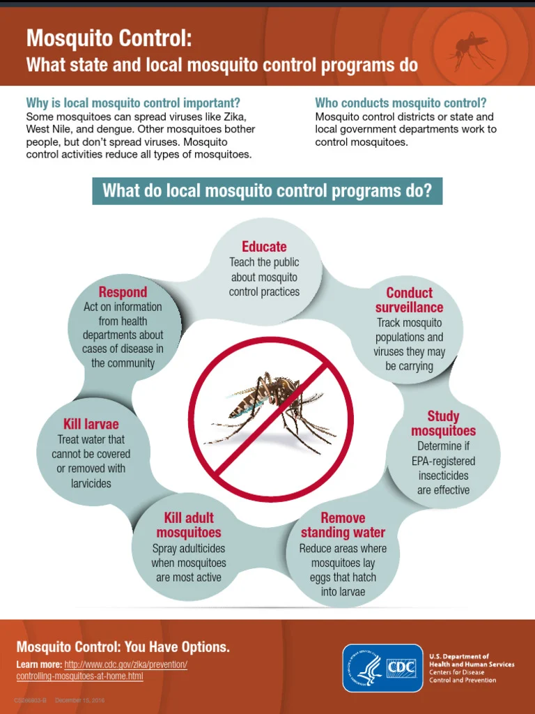 Mosquito Control Snellville: Understanding the Problem
