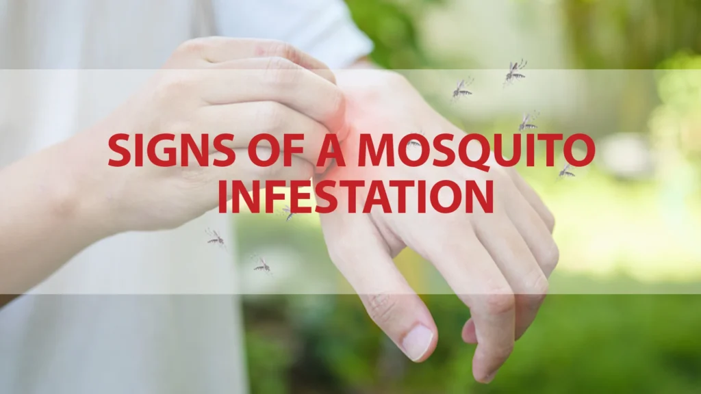 Mosquito Control Tequesta: Signs of Infestation