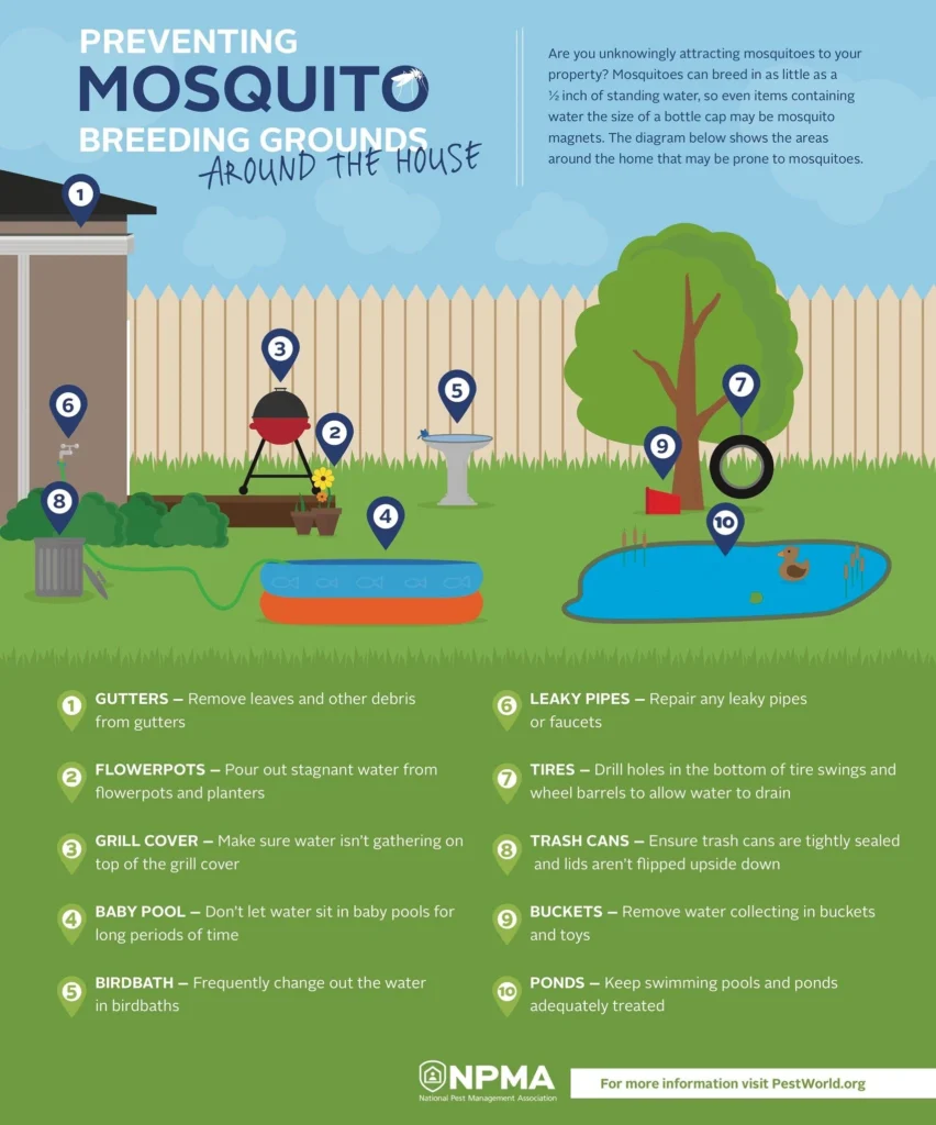 Mosquito Control Tequesta: Why These Pests Appear in Homes