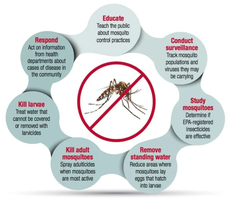 mosquito control valrico: Understanding the Problem