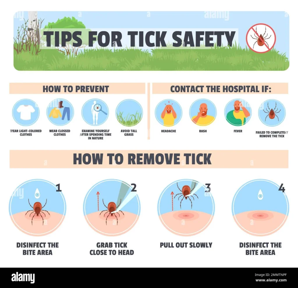 mosquito tick season in nyc 2025: Natural Removal Methods