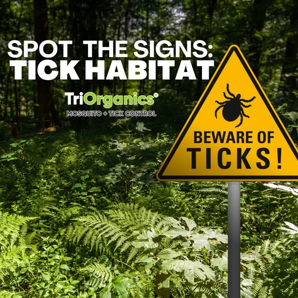 mosquito tick season in nyc 2025: Signs Homeowners Should Watch