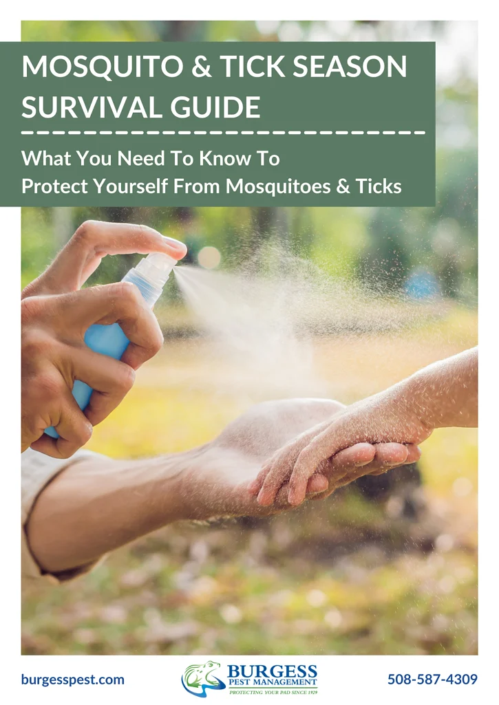 mosquito tick season in nyc 2025: Why These Pests Thrive