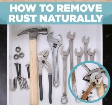 Natural Removal Methods – DIY Options for the Cautious Homeowner