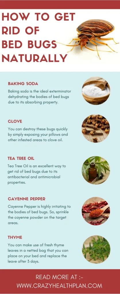 Natural Removal Methods for Bed Bug Treatment Milton