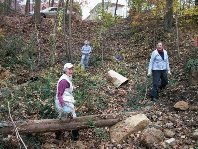 Natural Removal Methods for Berkeley Lake Residents