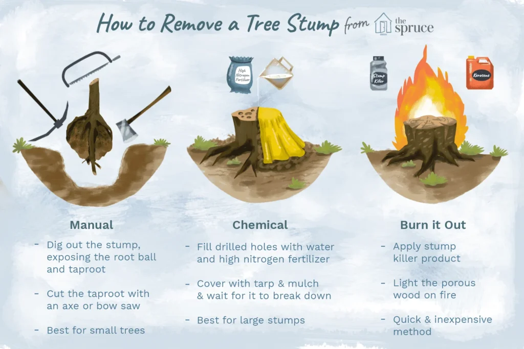 Natural Removal Methods for DIY Homeowners