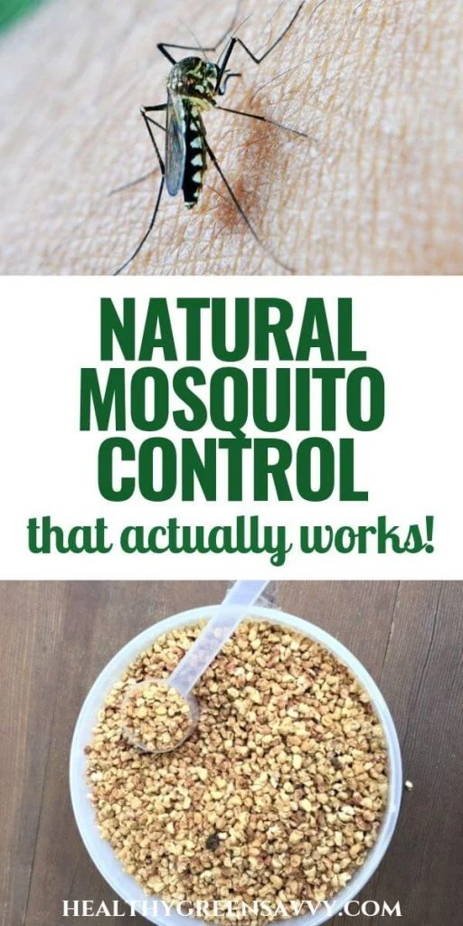 Natural Removal Methods for Mosquito Control Seven Springs