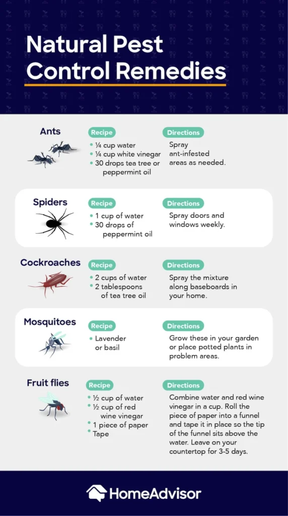 Natural Removal Methods for Pest Control Elfers