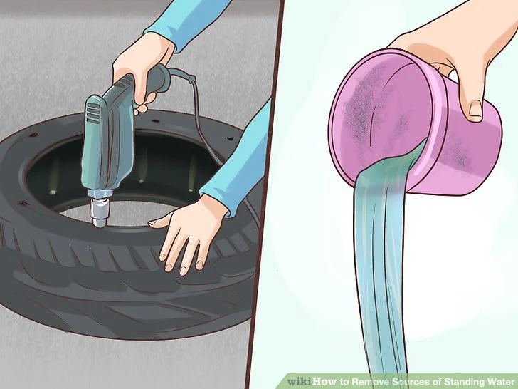 Natural Removal Methods to Eliminate Standing Water