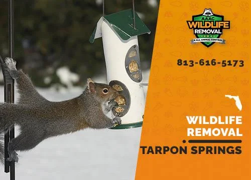 Natural Wildlife Removal Tarpon Springs Methods You Can Try