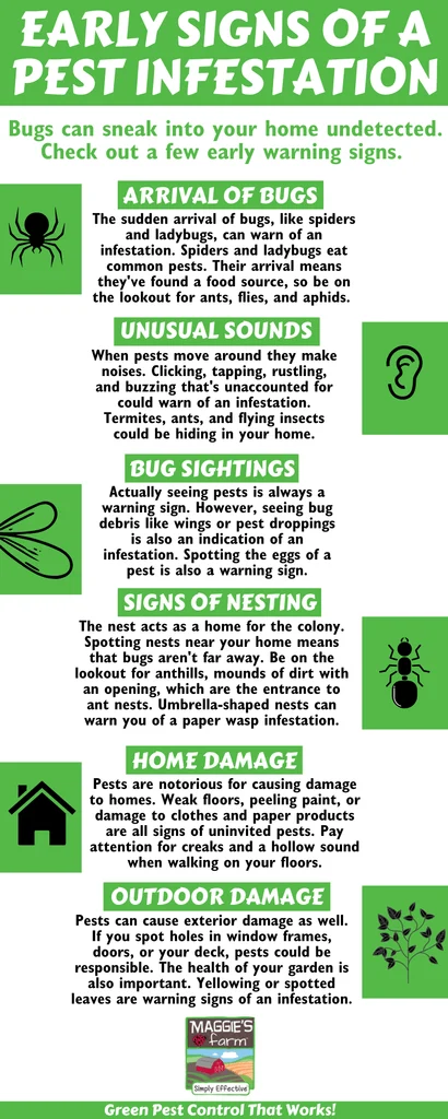Recognizing Early Signs of Infestation